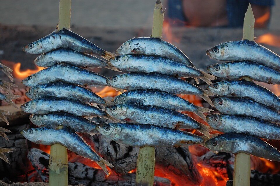 Sardines on the fire grilling in Malaga
