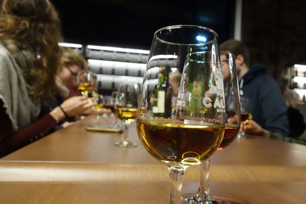 Porto wine tasting, travel guide