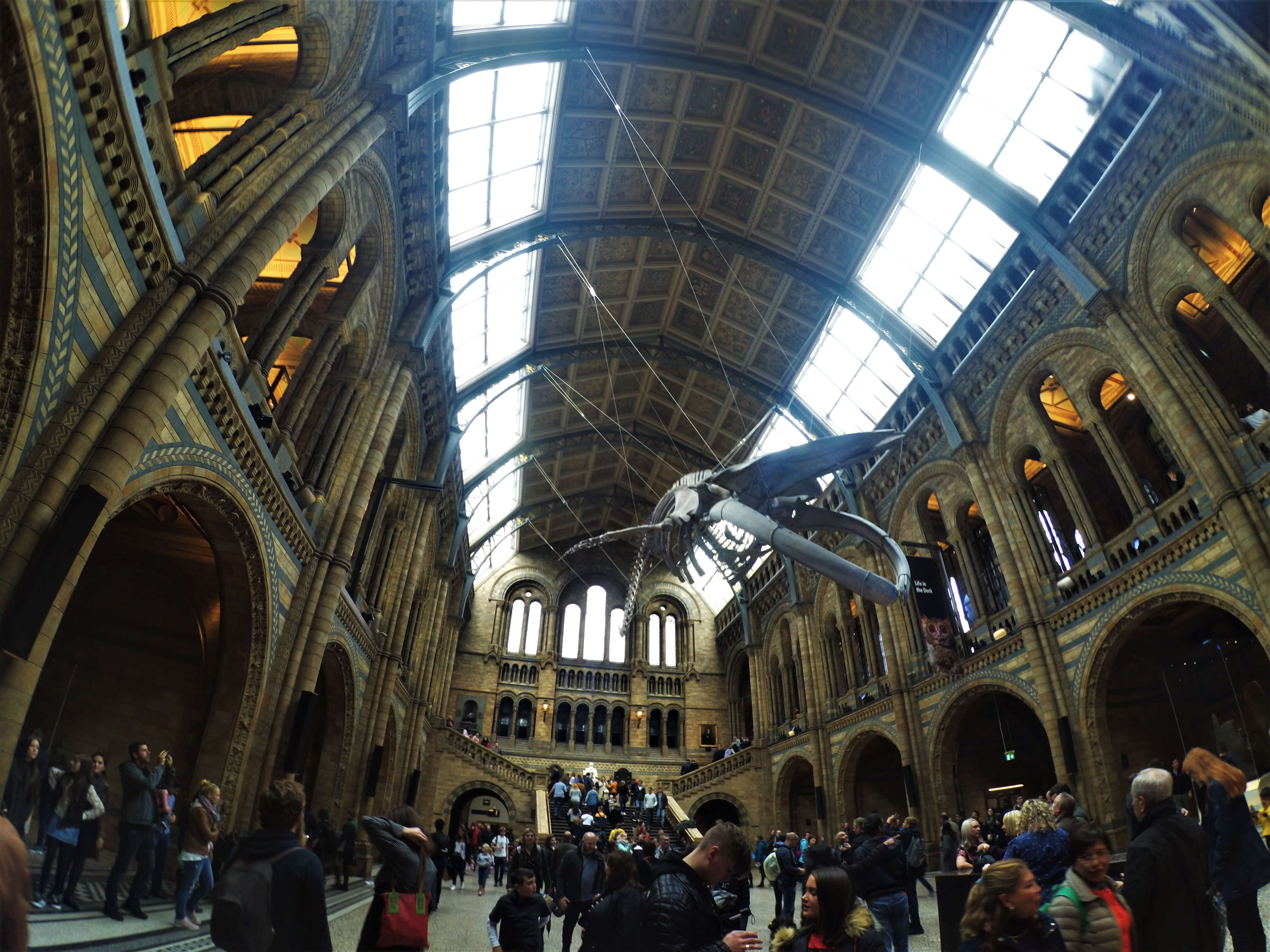 natural history museum in London, travel guide for 2 days