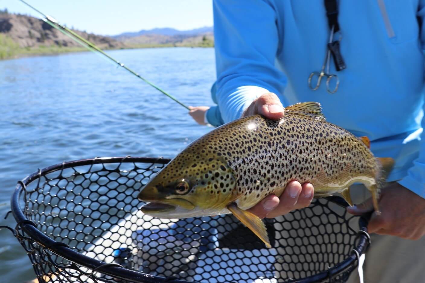 fish in the net, some of the best fishing destinations around the world