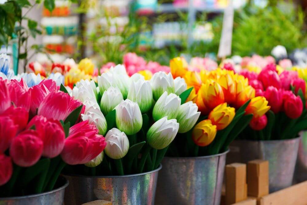 flowers on the Bloemenmarkt in Amsterdam, things to do