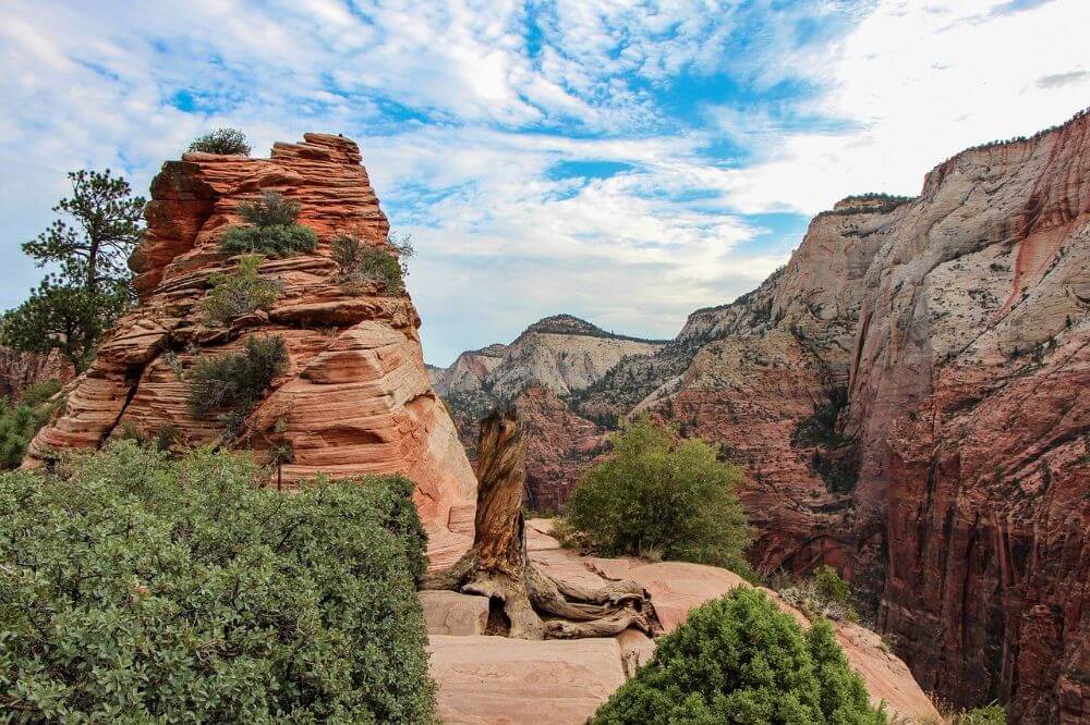 desert and mountans in Zion national park