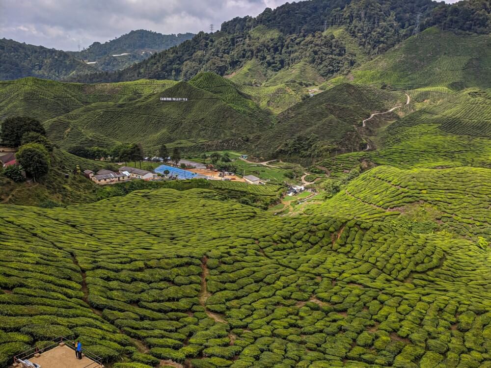 Pahang green fields and hills in Malaysia, hidden gem