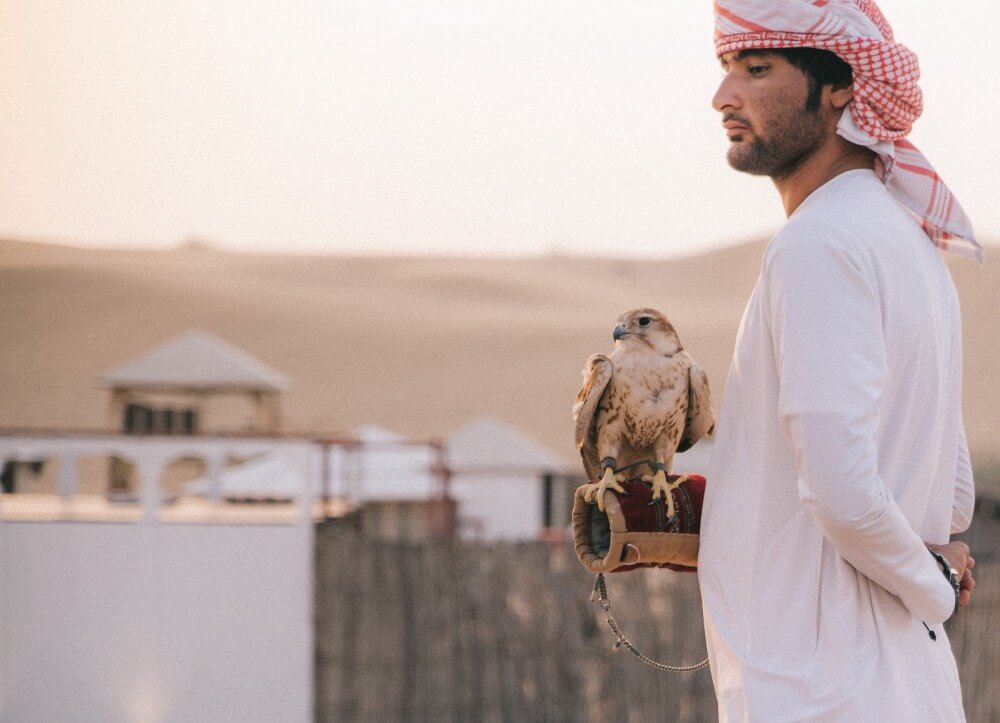 Falconry safari, Arabic man in the desert